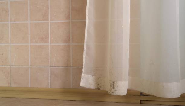 Best Indoor Air Quality Assessment  in Sierra Vista, AZ