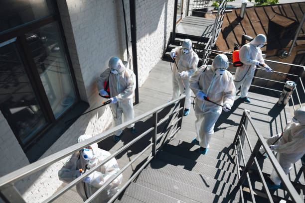 Best Environmental Consulting for Mold Prevention  in Sierra Vista, AZ