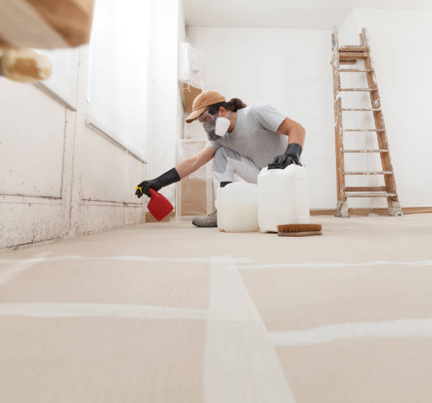 Best Air Quality Testing for Mold Spores  in Sierra Vista, AZ